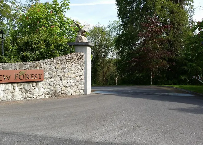 New Forest Estate Tyrrellspass